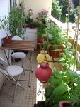 16-07-10 (10).jpg