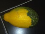 courge ou coloquinte?