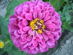 DSCN1221.JPG