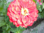 DSCN1219.JPG