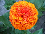 DSCN1223.JPG