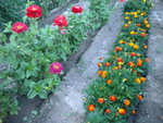 DSCN1217.JPG