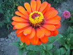 DSCN1222.JPG