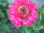 DSCN1226.JPG