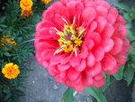 DSCN1227.JPG