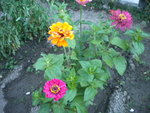 DSCN1224.JPG