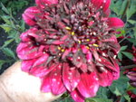 DSCN1208.JPG