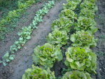 DSCN1231.JPG