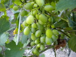 DSCN1235.JPG
