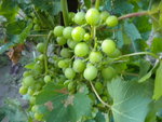 DSCN1234.JPG