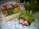 DSCN1242.JPG