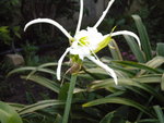 DSCN1247.JPG