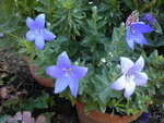DSCN1178.JPG