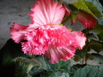 DSCN1169.JPG