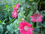 DSCN1191.JPG