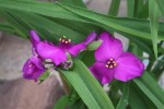 2008_05_22_15_16_30 (Small).JPG