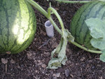 photo 1.jpg