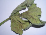photo2.jpg