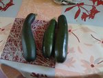 mes courgettes