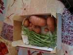 pomme de terre et haricot
