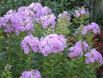 DSCN1302.JPG