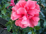 DSCN1286.JPG