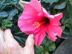 DSCN1287.JPG