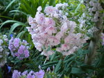 DSCN1300.JPG
