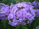 DSCN1301.JPG