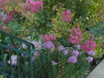 DSCN1307.JPG