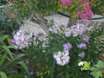 DSCN1304.JPG