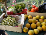 DSCN1262.JPG