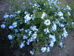 DSCN1288.JPG