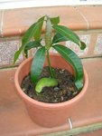 DSCN4066.JPG