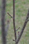 DSC_0052.JPG