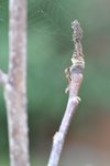 DSC_0053.JPG
