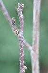 DSC_0054.JPG