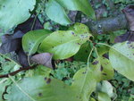 DSC00491.JPG