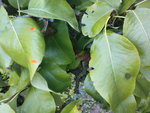 DSC00494.JPG