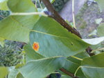 DSC00495.JPG