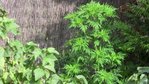 IMG_0829.JPG