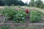 IMG_1255.JPG