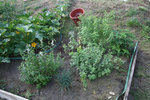 IMG_1256.JPG