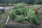 IMG_1257.JPG