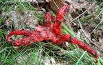 DSC03262.JPG