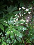 IMG_0032.jpg