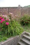 SDC14379.jpg