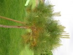 DSC05008.JPG