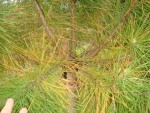 DSC05010.JPG