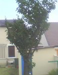 img0022a.jpg